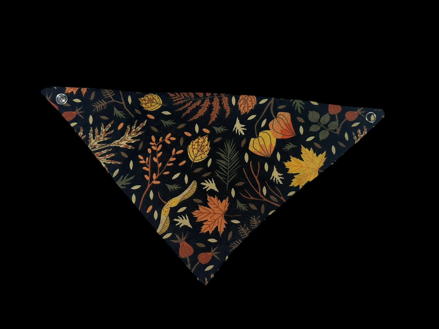 Cat Bandanas