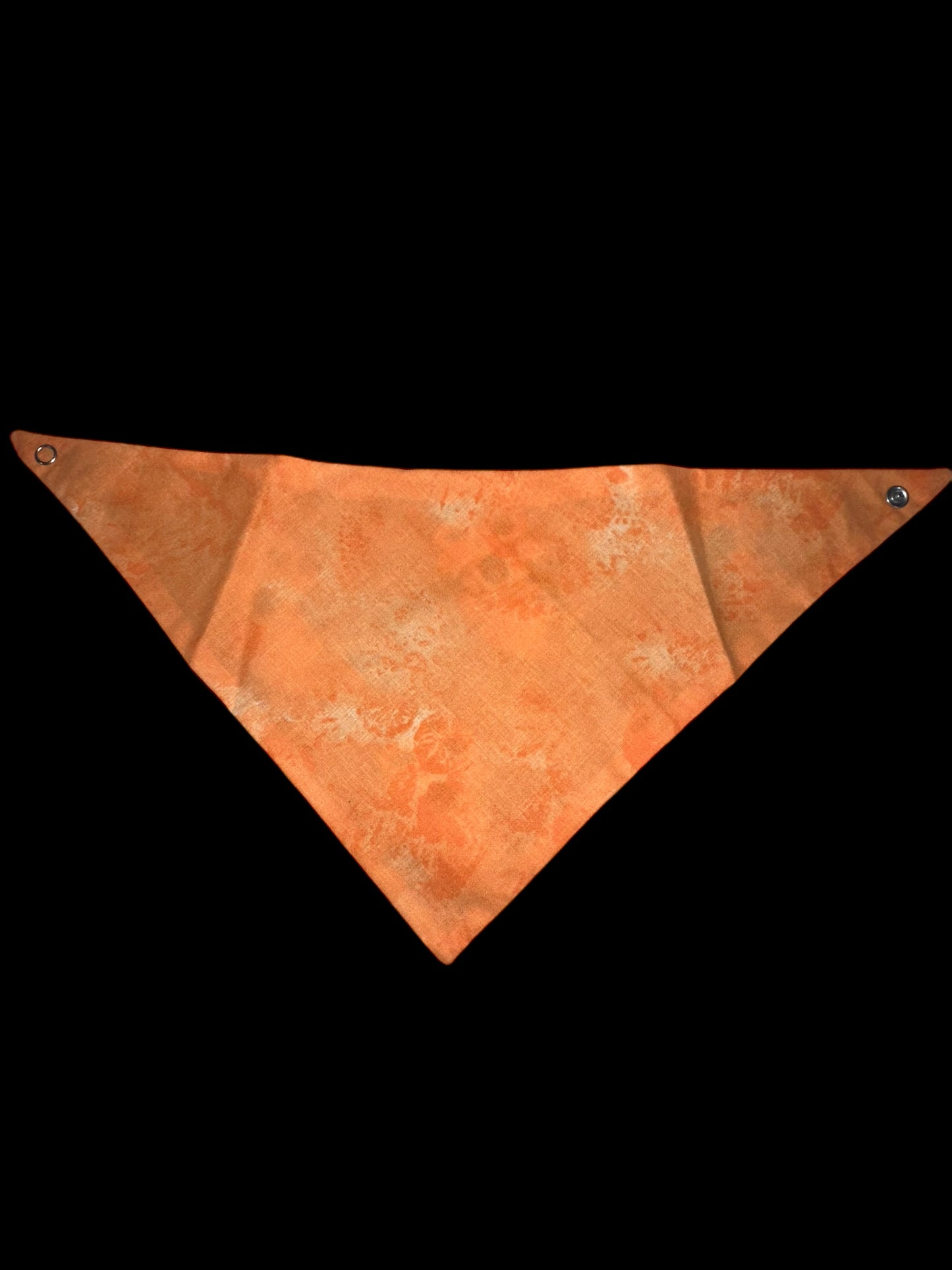 Small dog Bandanas