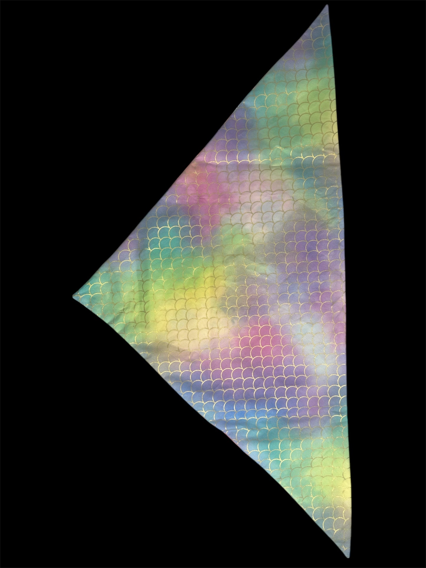X-large with scale and stingray