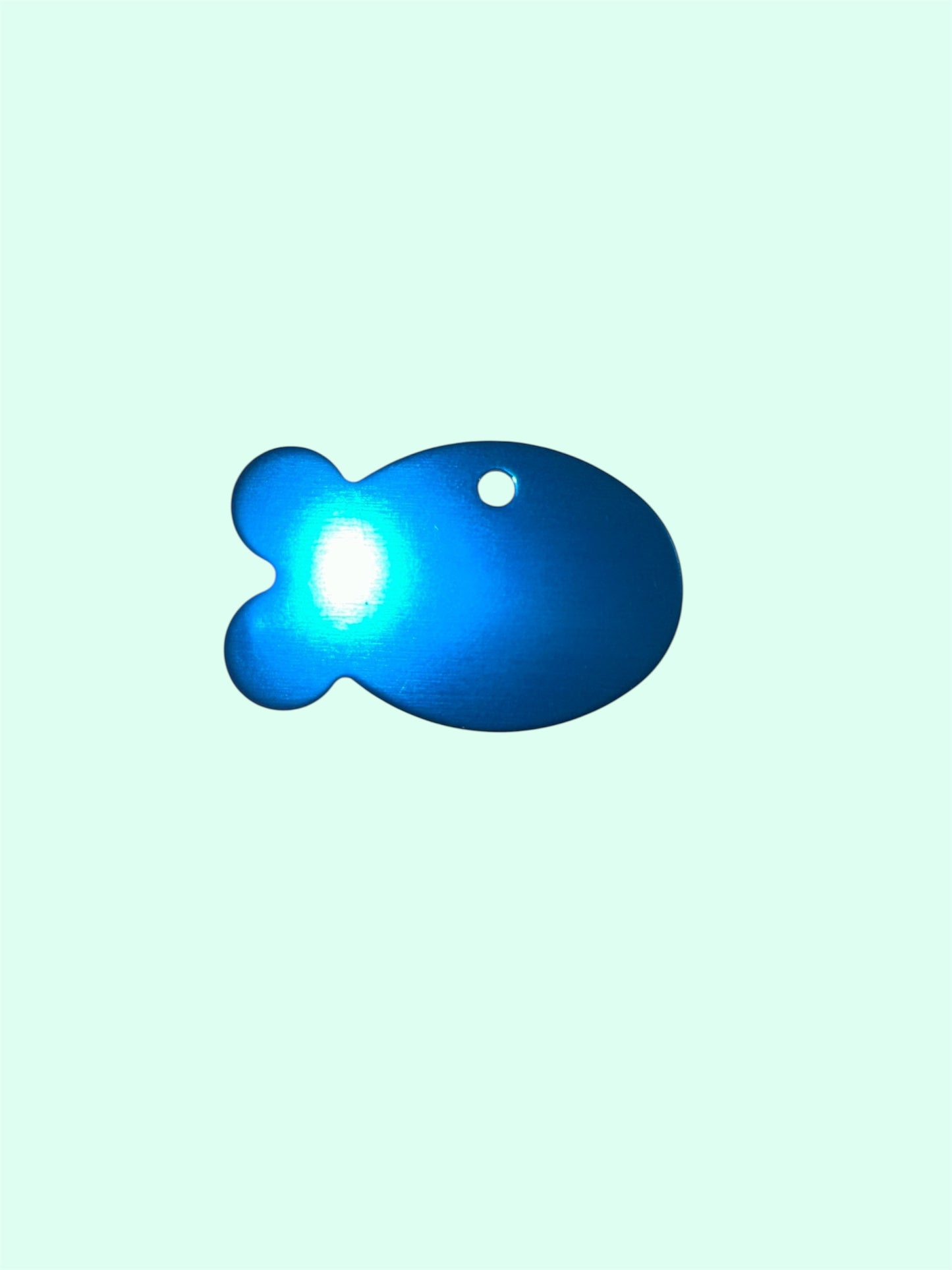 π Fishy Fun Pet Tags