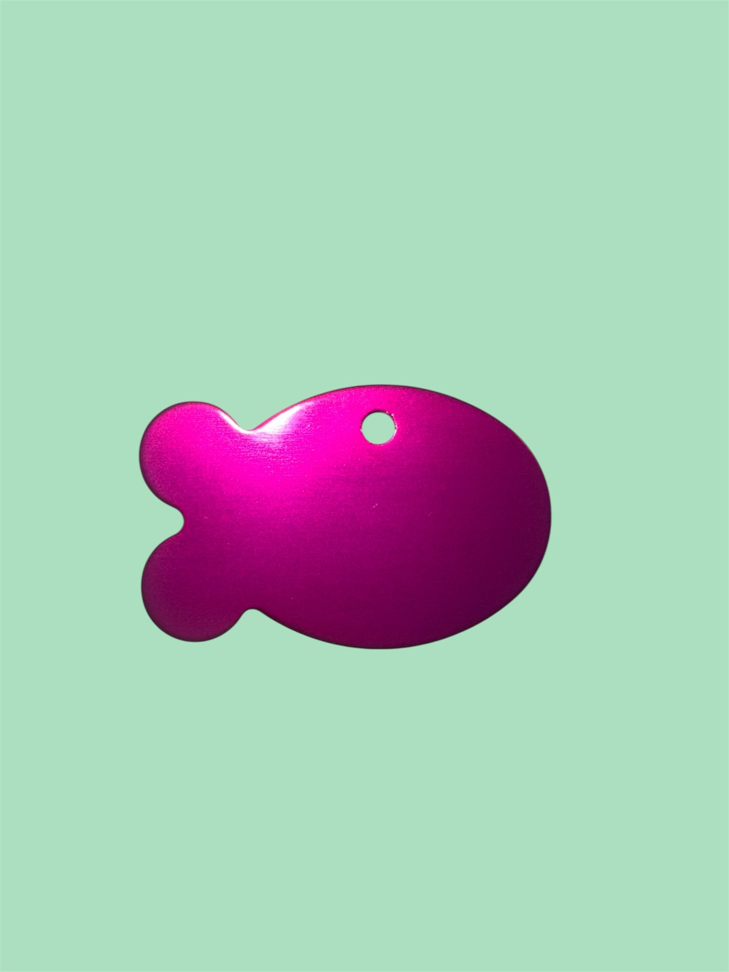 π Fishy Fun Pet Tags