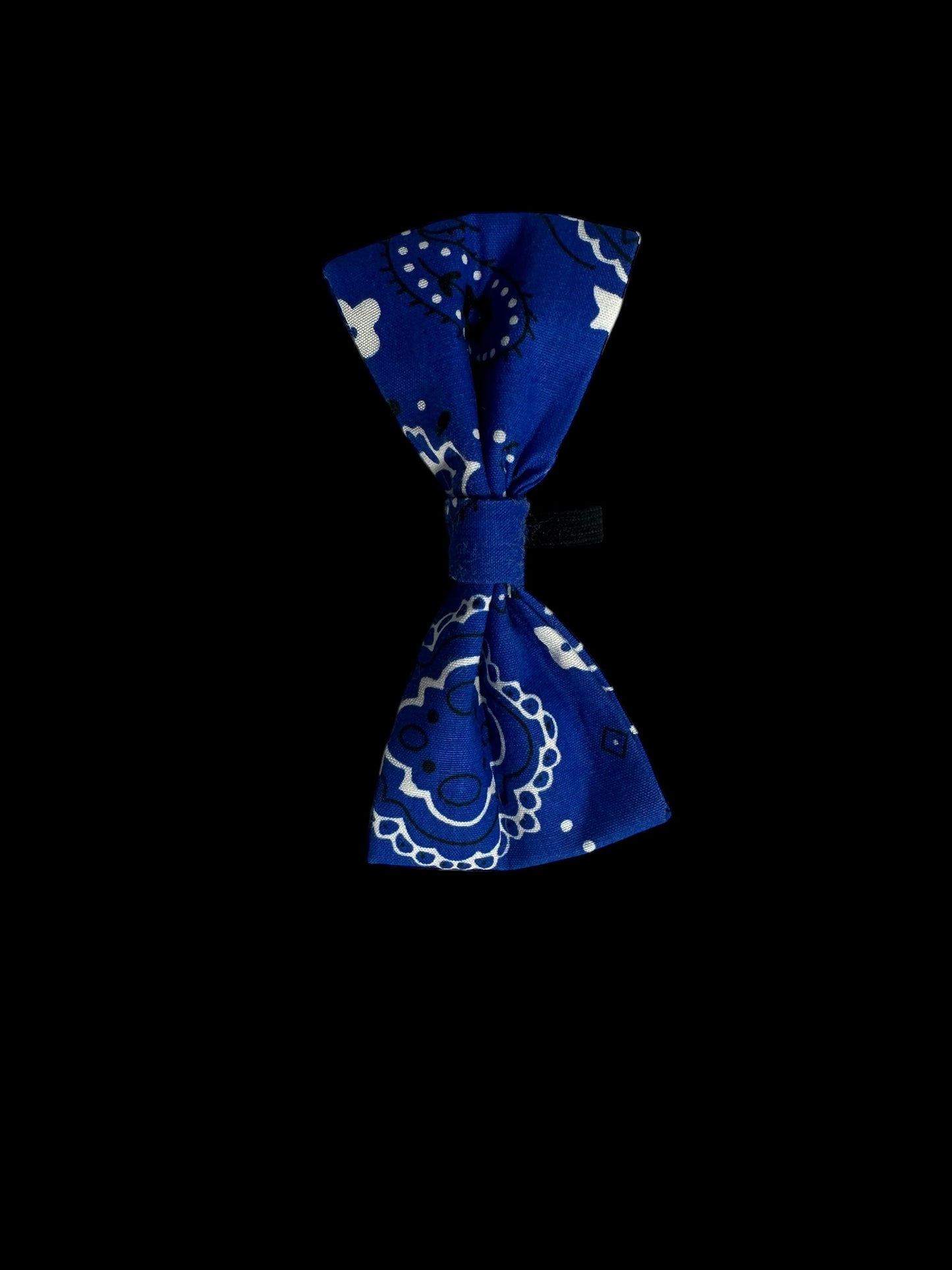 Cat and small dog bow ties- blue floral