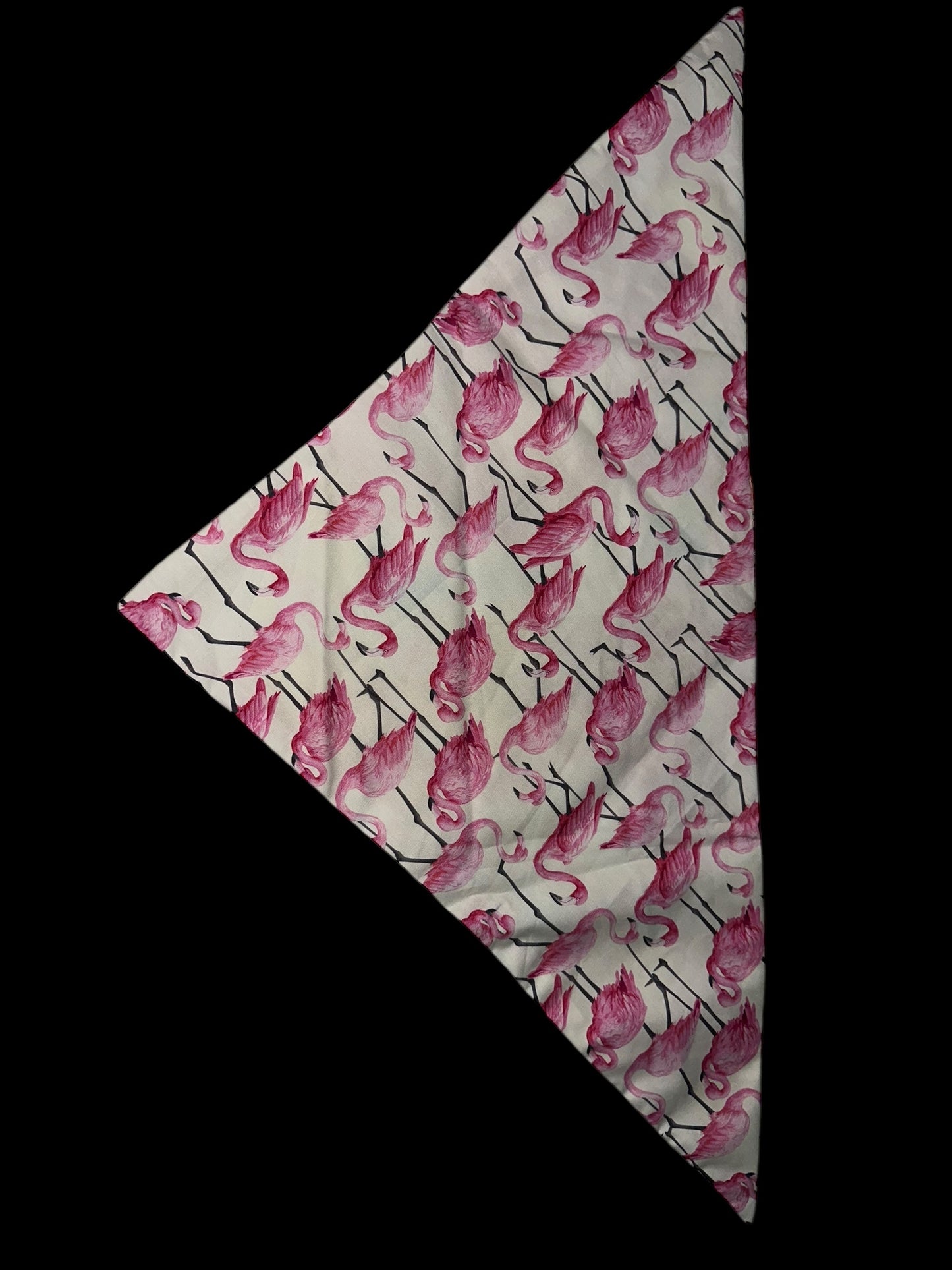 Large dog bananas- dots and flamingos