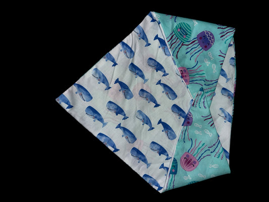 Large dog bananas- jellyfish and whales