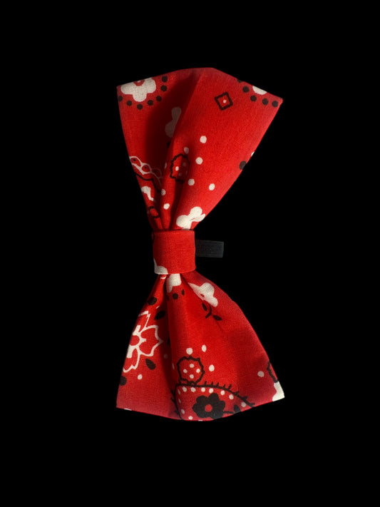 Cat and small dog bow ties- red with floral