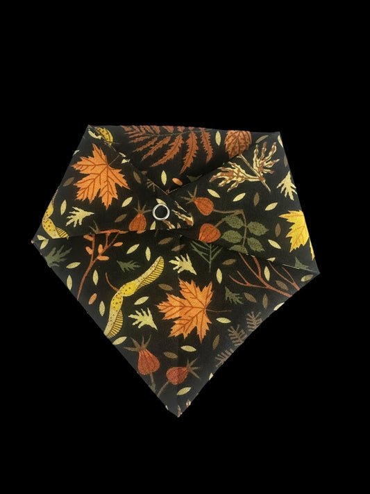 Cat Bandanas