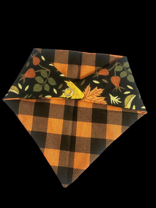 Cat Bandanas