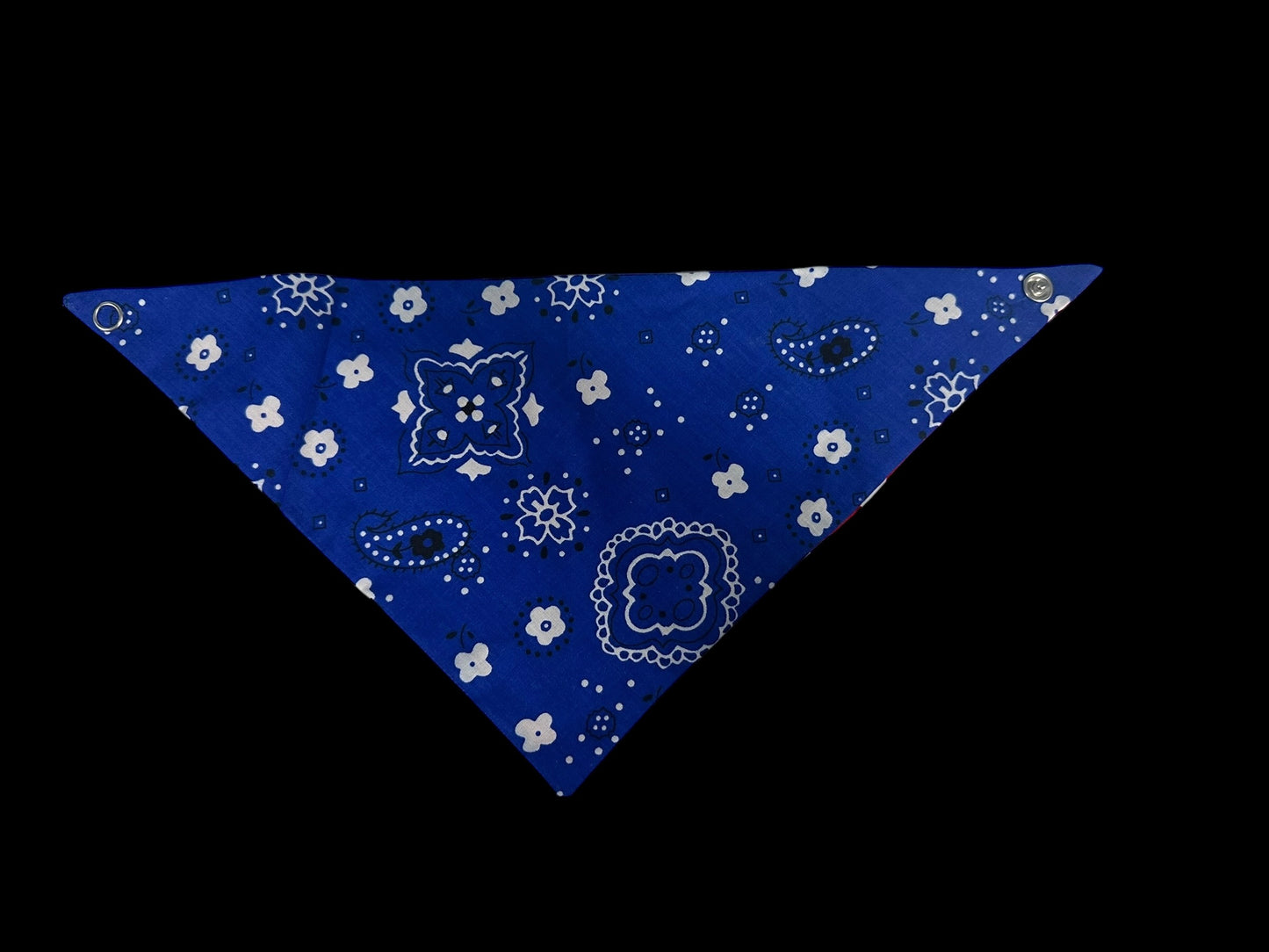 Cat Bandanas