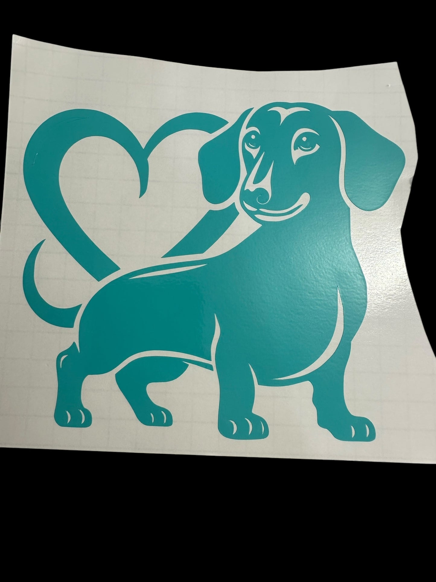 dachshund with a heart
