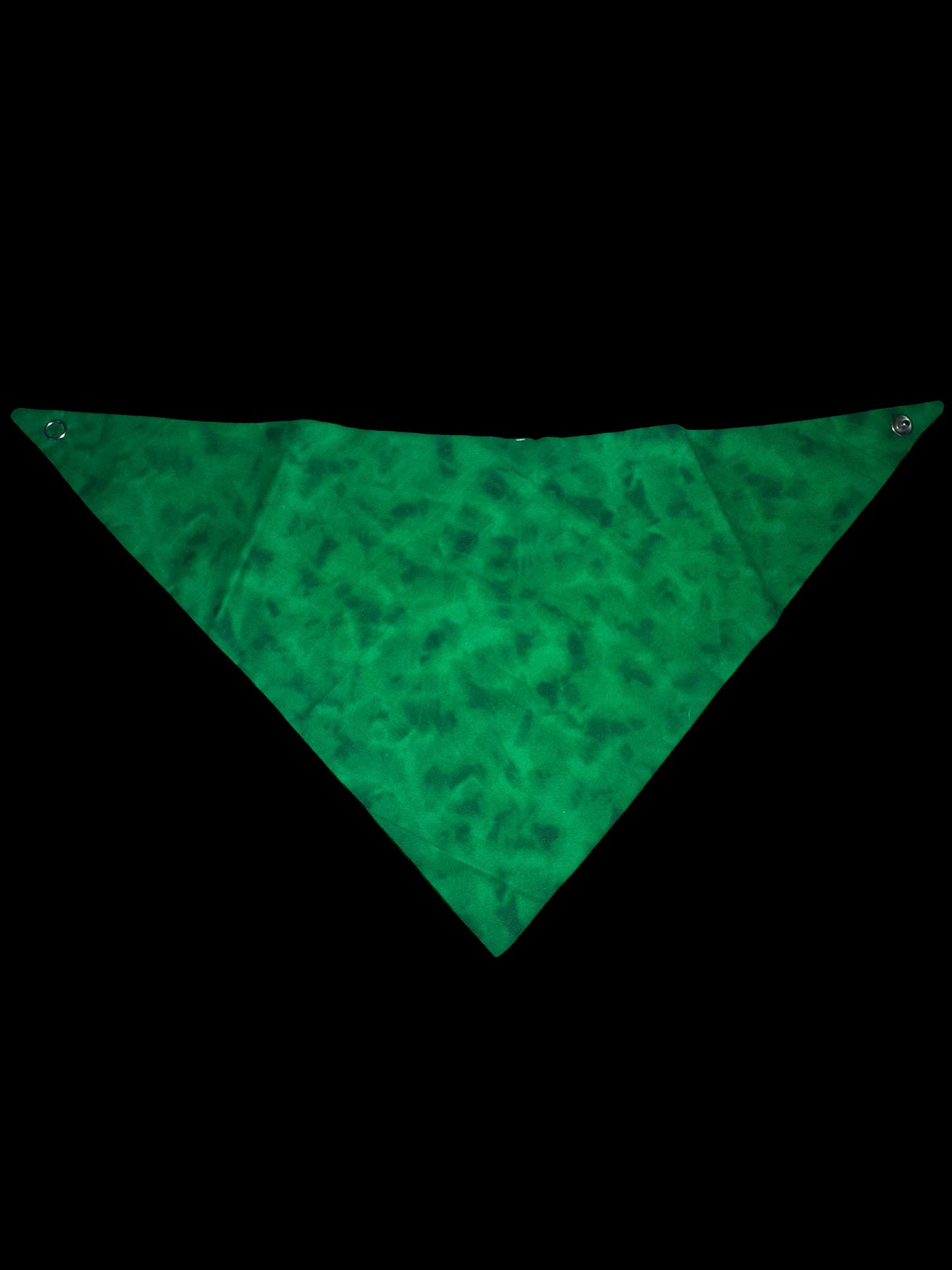 Small dog Bandanas
