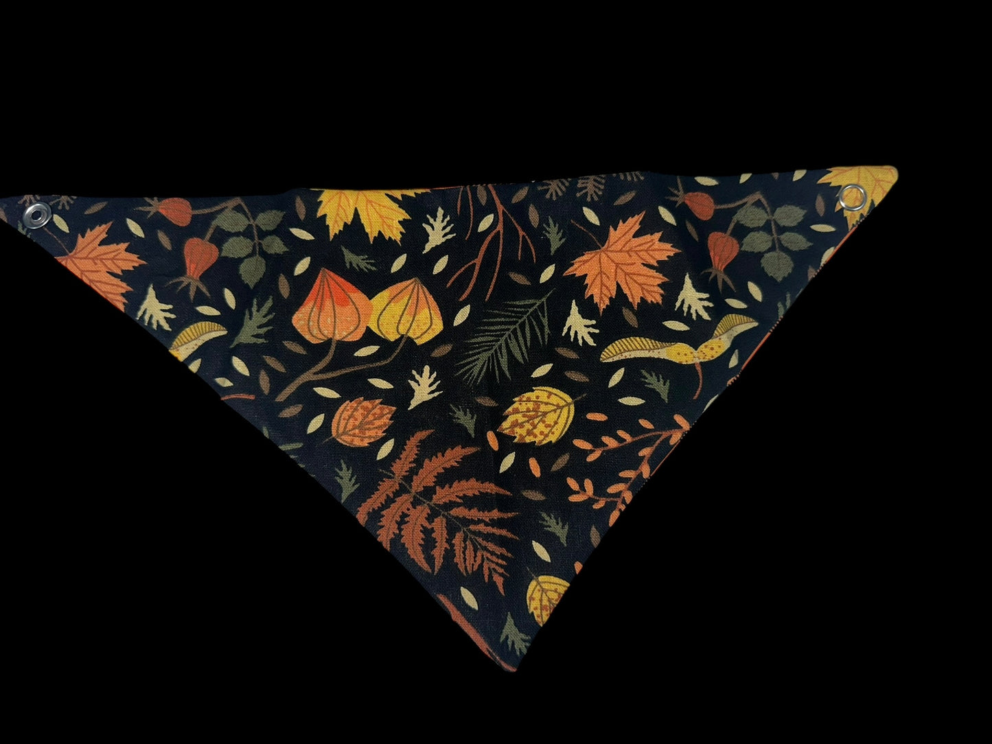 Cat Bandanas