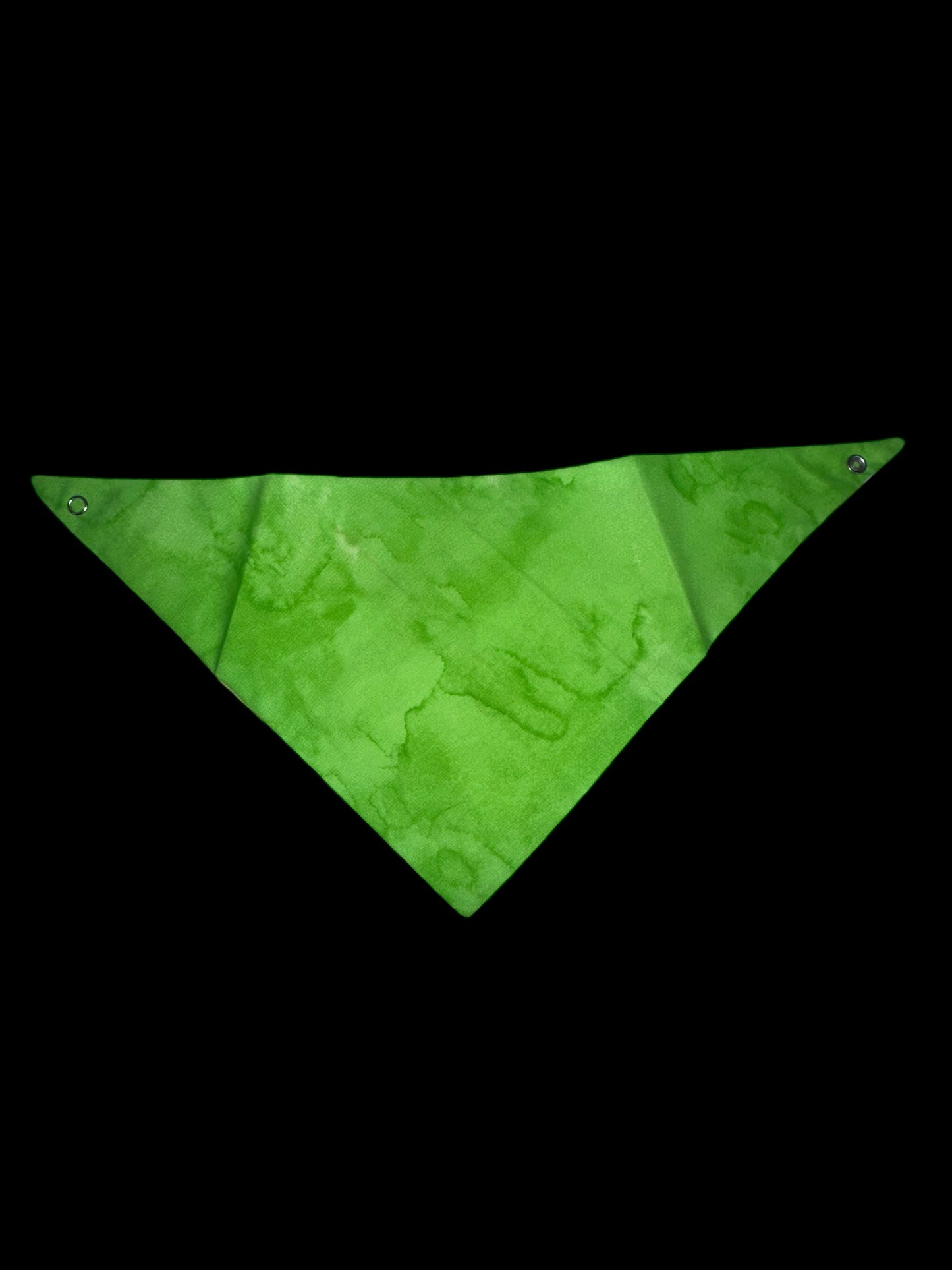 Small Dog Bandanas