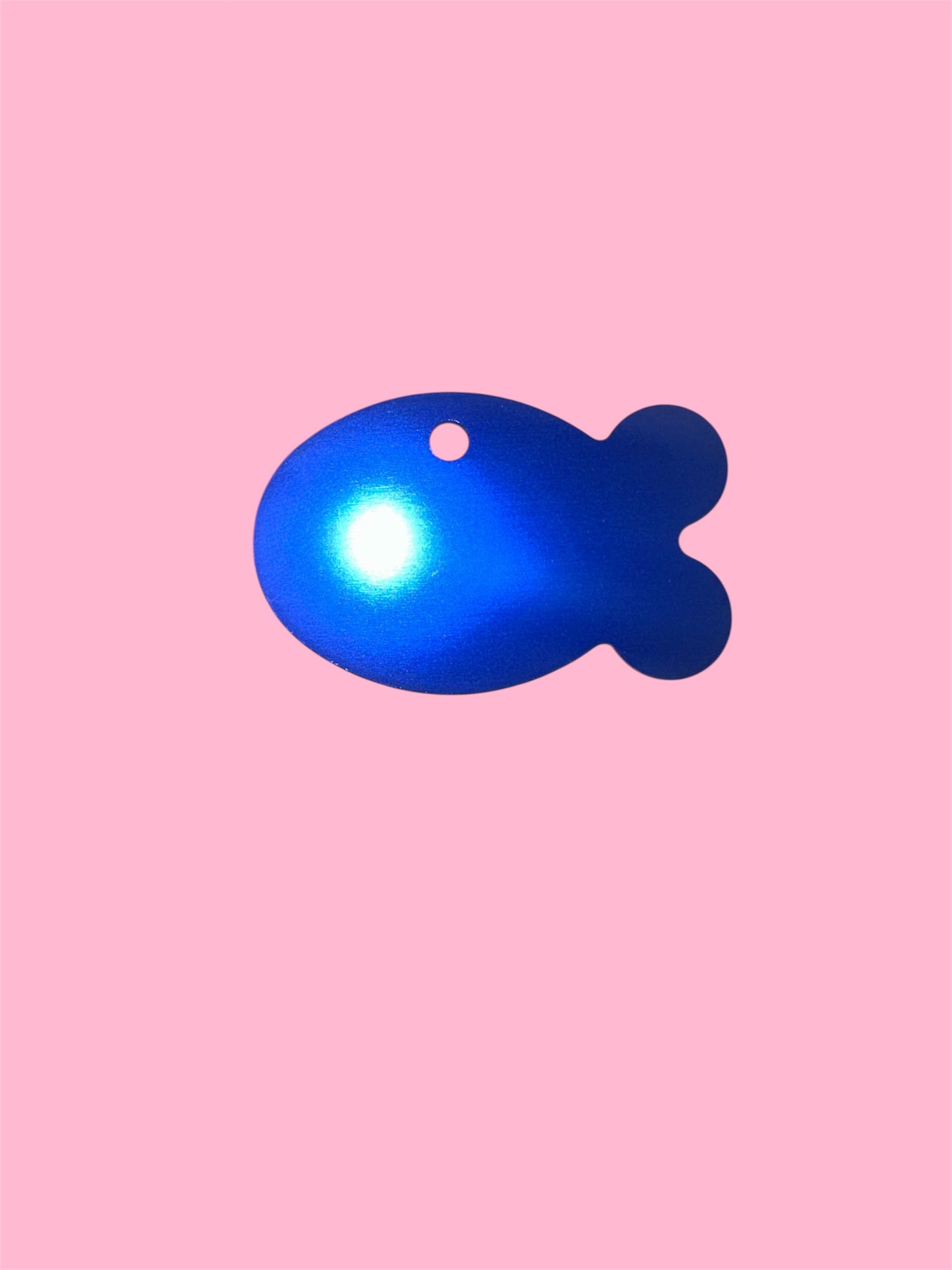 🐟 Fishy Fun Pet Tags